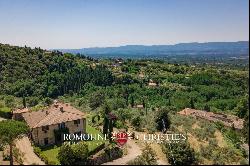 Tuscany - ESTATE, AGRITURISMO WITH VINEYARDS AND OLIVE GROVE FOR SALE IN FLORENCE