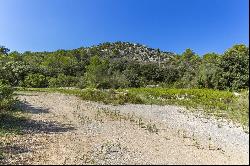 Plot, Pollensa, Mallorca, 07460