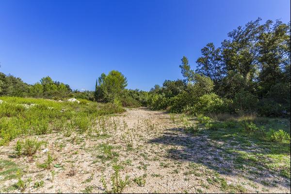 Plot, Pollensa, Mallorca, 07460