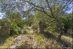 Plot, Pollensa, Mallorca, 07460