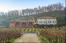 Splendid wine estate in the heart of Franciacorta