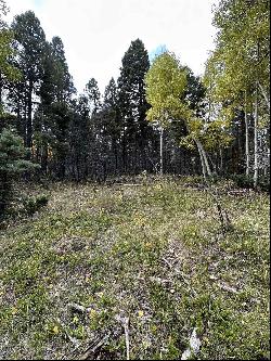 Lot 58 Back Basin Rd, Angel Fire NM 87710