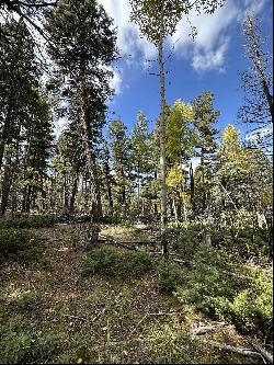 Lot 58 Back Basin Rd, Angel Fire NM 87710