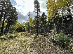 Lot 58 Back Basin Rd, Angel Fire NM 87710