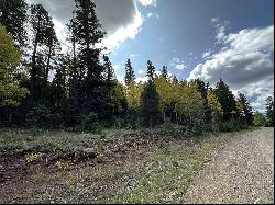 Lot 58 Back Basin Rd, Angel Fire NM 87710