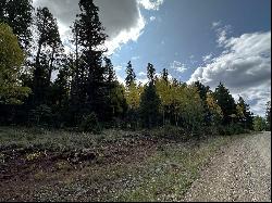 Lot 58 Back Basin Rd, Angel Fire NM 87710