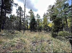 Lot 1469 Cheerful Way, Angel Fire NM 87710