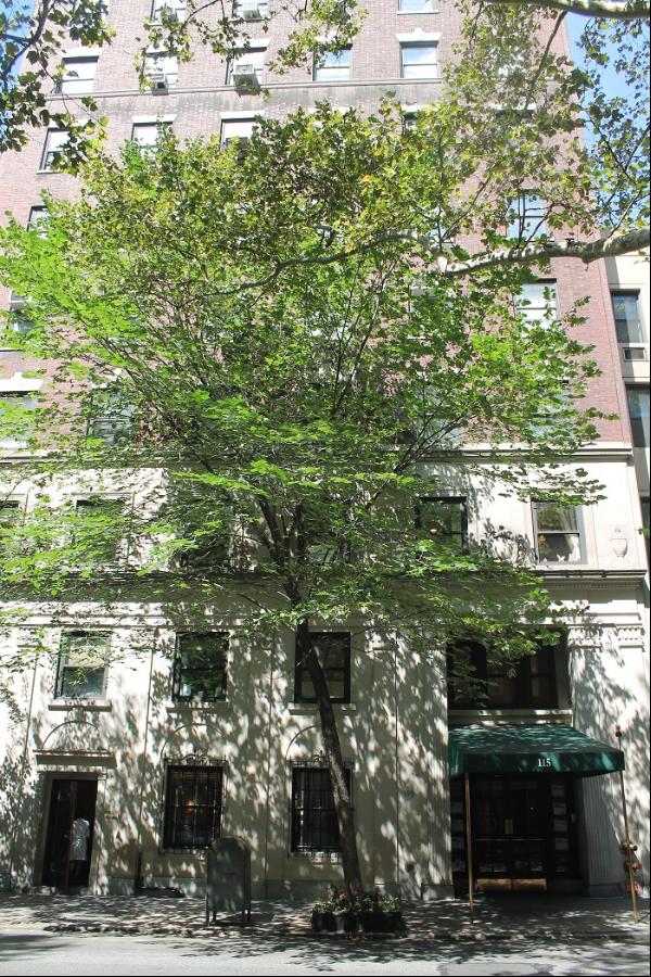 115 EAST 61ST STREET 7A in New York, New York