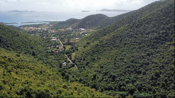Spring Ghut, Tortola, British Virgin Islands