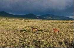 25 Acres Off Buena Vista Road, Cerro NM 87556