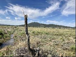 25 Acres Off Buena Vista Road, Cerro NM 87556