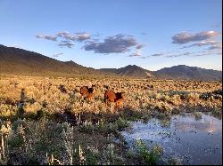 25 Acres Off Buena Vista Road, Cerro NM 87556