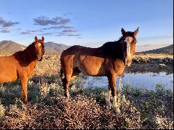 25 Acres Off Buena Vista Road, Cerro NM 87556