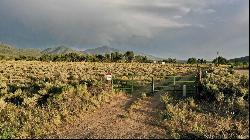 25 Acres Off Buena Vista Road, Cerro NM 87556