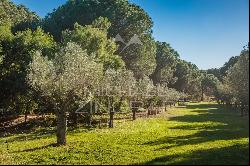 Ramatuelle - Pampelonne - Charming Provençal Bastide