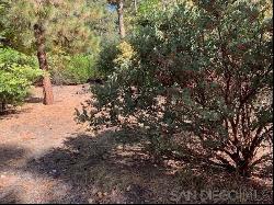 7 Laurel Trail, Pine Cove CA 92549