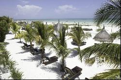 6149 - Land for Sale in Holbox 600 Meters from Cocos Beach, Cancún 77500