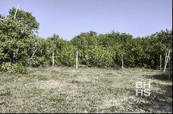 6149 - Land for Sale in Holbox 600 Meters from Cocos Beach, Cancún 77500