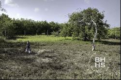 6149 - Land for Sale in Holbox 600 Meters from Cocos Beach, Cancún 77500