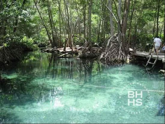 5723 - Beachfront Lot for Sale in Celestun Yucatan, Cancún 77500