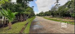 5584 - Land lot for sale in Paseo de la Selva S.M. 325 Macunis L, Cancún 77500