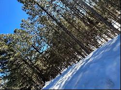 Lot 60 San Andres Dr, Angel Fire NM 87710