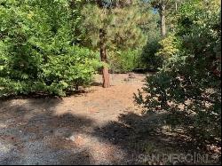 7 Laurel Trail, Pine Cove CA 92549