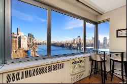 25 Sutton Place S #16E, New York NY 10022