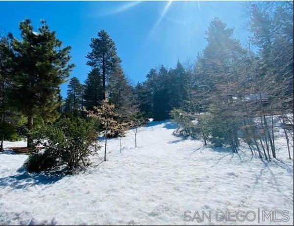 8 Laurel Trail Vacant Land, Idyllwild CA 92549