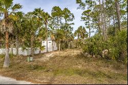 Lot 14 Cottage Ln, Port St. Joe FL 32456