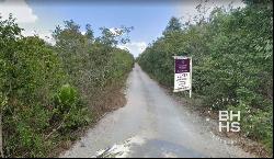 5320-Terreno en Venta Cancun calle Ciricote Alamos 2, Cancún QR 77533