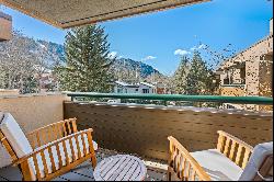 1028 E Hopkins Avenue, Aspen, CO, 81611