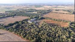 Large rustic finca to reform for sale in Villafranca de Bonany, , Vilafranca de Bonany 072