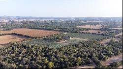 Large rustic finca to reform for sale in Villafranca de Bonany, , Vilafranca de Bonany 072