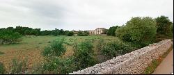 Large rustic finca to reform for sale in Villafranca de Bonany, , Vilafranca de Bonany 072