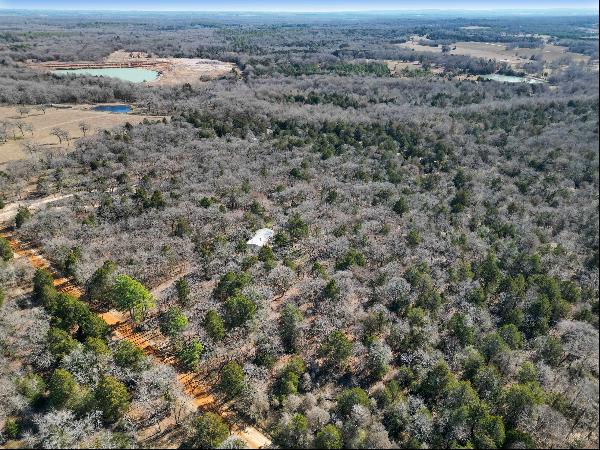 Serene Wooded Retreat Near Athens, TX