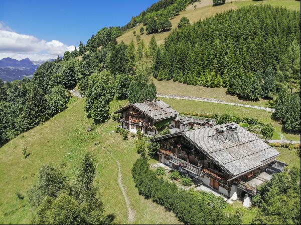 Domaine Épervier - Two connected chalets on a 20,000 sqm property