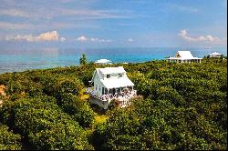 Gumbo Limbo