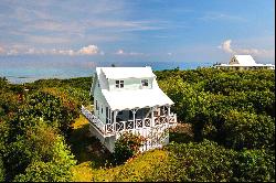 Gumbo Limbo