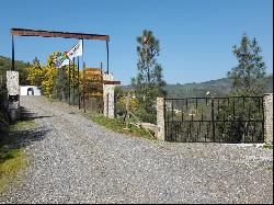 5 Bedroom Farm, Covilhã