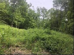 (Lot C) Pond Road, Rhinebeck NY 12572