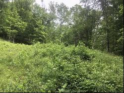 (Lot C) Pond Road, Rhinebeck NY 12572