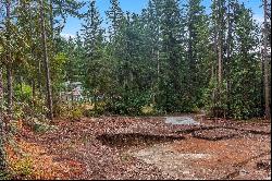 27577 207th Avenue SE, Maple Valley WA 98038