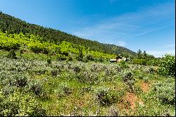 54 Spruce Road, Basalt, CO 81621