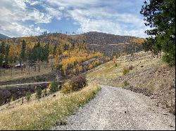 NHN Cedar Ridge Road, Missoula MT 59804