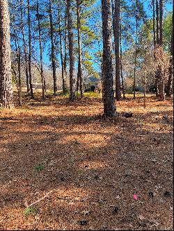 Beautiful Residential Lots Close to Lake Palestine