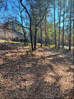 Beautiful Residential Lots Close to Lake Palestine