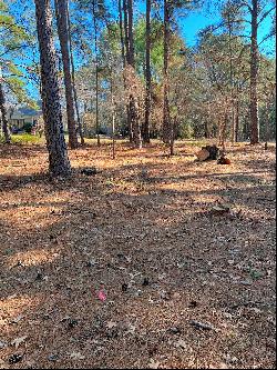 Beautiful Residential Lots Close to Lake Palestine