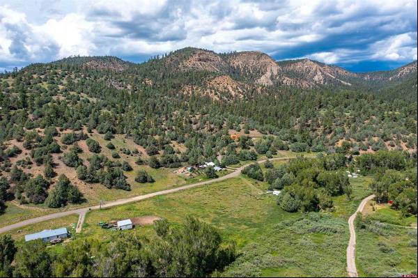 Pagosa Springs Land