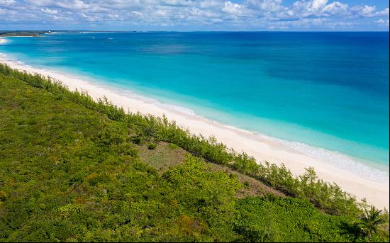 Guinea Bay